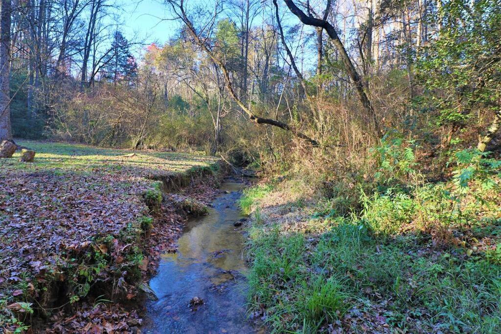 Oktoberfest Themed Cabin In Woods Stream #14 هيلين المظهر الخارجي الصورة
